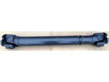 : foto do cabeçalho