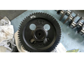 : foto do cabeçalho