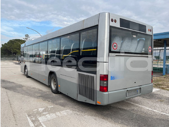 Locação financeira de Man Lion's Classic Man Lion's Classic: foto 5 Locação financeira de Man Lion's Classic Man Lion's Classic: foto 5