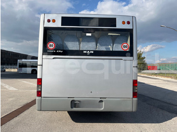 Locação financeira de Man Lion's Classic Man Lion's Classic: foto 5 Locação financeira de Man Lion's Classic Man Lion's Classic: foto 5