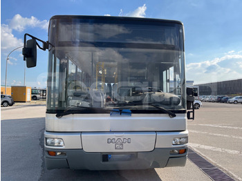 Locação financeira de Man Lion's Classic Man Lion's Classic: foto 2 Locação financeira de Man Lion's Classic Man Lion's Classic: foto 2