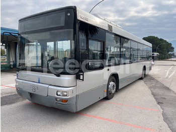 Locação financeira de Man Lion's Classic Man Lion's Classic: foto 4 Locação financeira de Man Lion's Classic Man Lion's Classic: foto 4