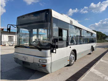 Locação financeira de Man Lion's Classic Man Lion's Classic: foto 4 Locação financeira de Man Lion's Classic Man Lion's Classic: foto 4