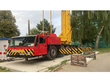 Grua todo o terreno SPIERINGS