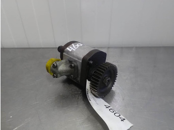 : foto do cabeçalho