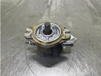 Hidráulica para Máquina de construção Gearpump - Zahnradpumpe/Tandwielpomp: foto 3