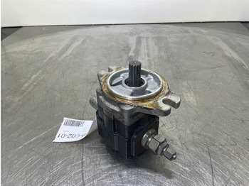 Hidráulica para Máquina de construção Gearpump - Zahnradpumpe/Tandwielpomp: foto 2