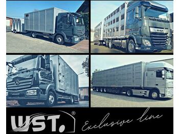 Reboque transporte de gado Menke-Janzen Menke 3 Stock Ausahrbares Dach Vollalu Typ 2: foto 5