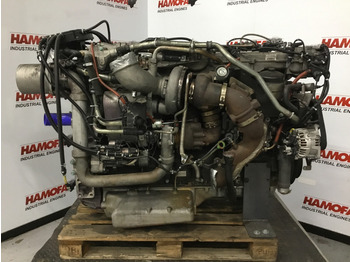 : foto do cabeçalho