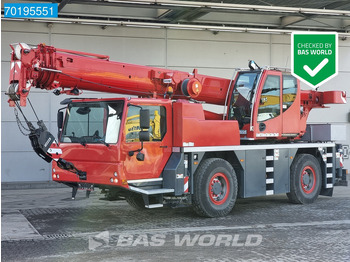 Grua de estaleiro LIEBHERR LTM 1030