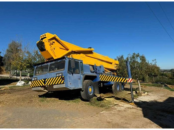 Grua móvel