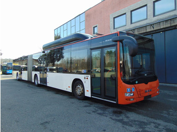 Autocarro articulado MAN Lion's City
