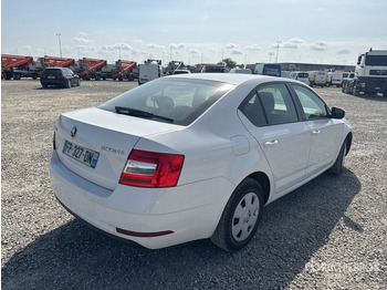 Automóvel 2020 Skoda Octavia Autovettura: foto 3