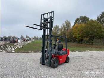 Empilhador 2025 Plus Power VTDD 25 (Unused) Forklift: foto 2