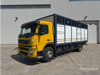 Triturador de martelos/ Destroçador 2003 Volvo FM12 420 4x2 Camion Betaillere Livestock Truck: foto 2