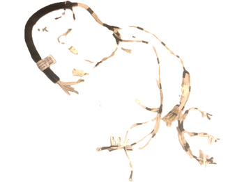 Cables/ Wire harness CATERPILLAR