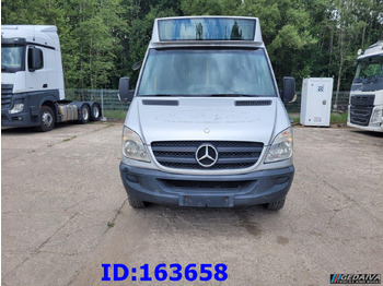 Ônibus urbano MERCEDES-BENZ Sprinter - City - EvoBus - 23 Place - Euro5: foto 2