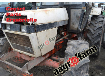 : foto do cabeçalho