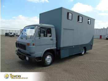 Camião de transporte de cavalos MAN