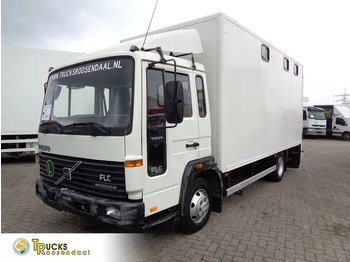 Camião de transporte de cavalos VOLVO FLC