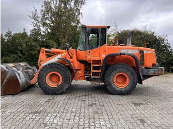 Pá carregadora de rodas DOOSAN DL300 wheelloader: foto 1