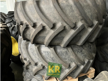 : foto do cabeçalho