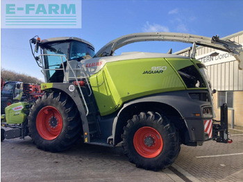 Picadora de forragem automotriz CLAAS USED 2023 JAGUAR 950 - STAGE V: foto 3