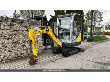 Mini escavadeira Wacker Neuson 1404 Minibagger, Schnellwechsler MS01, Knickmatik: foto 2