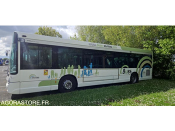 Ônibus