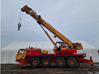Grua todo o terreno GROVE