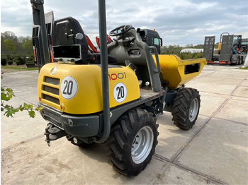 Dumper Wacker neuson Compact dumper 1001: foto 3