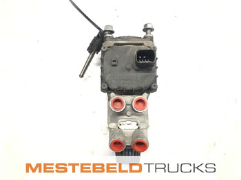 : foto do cabeçalho