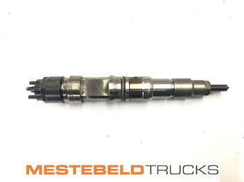 : foto do cabeçalho