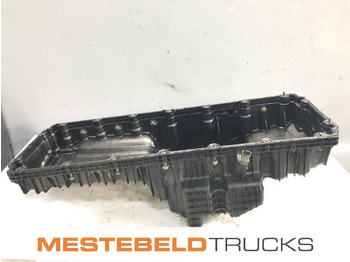 : foto do cabeçalho