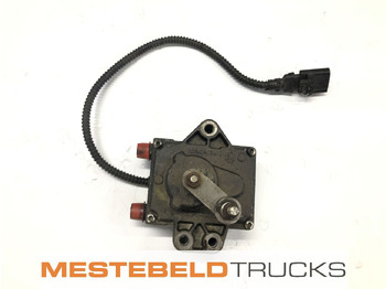 : foto do cabeçalho