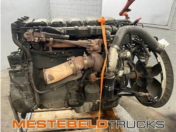 : foto do cabeçalho