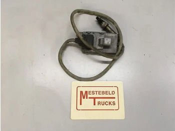 : foto do cabeçalho