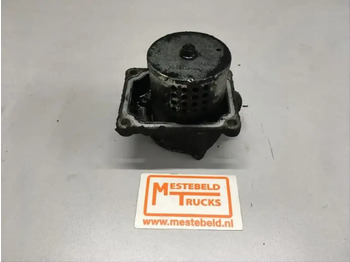 : foto do cabeçalho