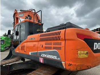 Escavadora de rastos Doosan DX 255 LC-5/Schnellwechsel System/Rototilt R8: foto 3