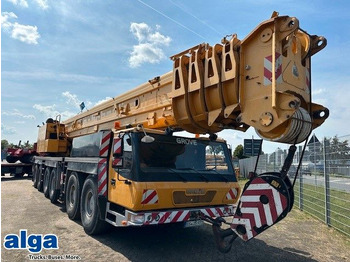 Grua todo o terreno GROVE