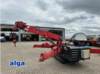Mini grua