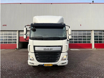 Camião furgão DAF CF 310 FA EURO 6: foto 2