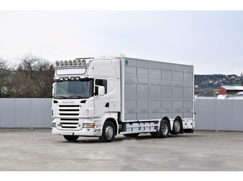 Camião transporte de gado SCANIA R 500