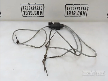 Sensor DAF