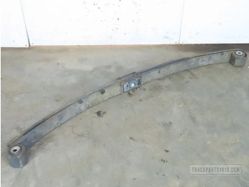 Suspensão de molas/ Suspensão de lâminas DAF XF