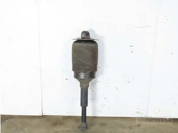 Suspensão a ar MAN