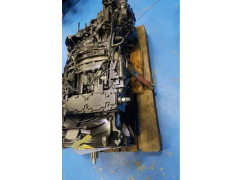 : foto do cabeçalho