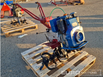 : foto do cabeçalho