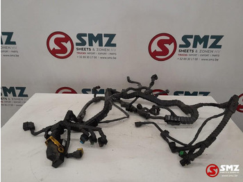 Cables/ Wire harness DAF