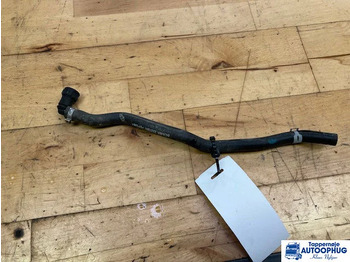 : foto do cabeçalho